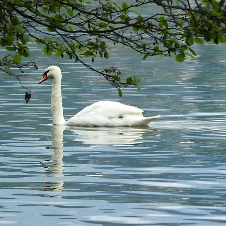 招待所 Rauter 塞博登